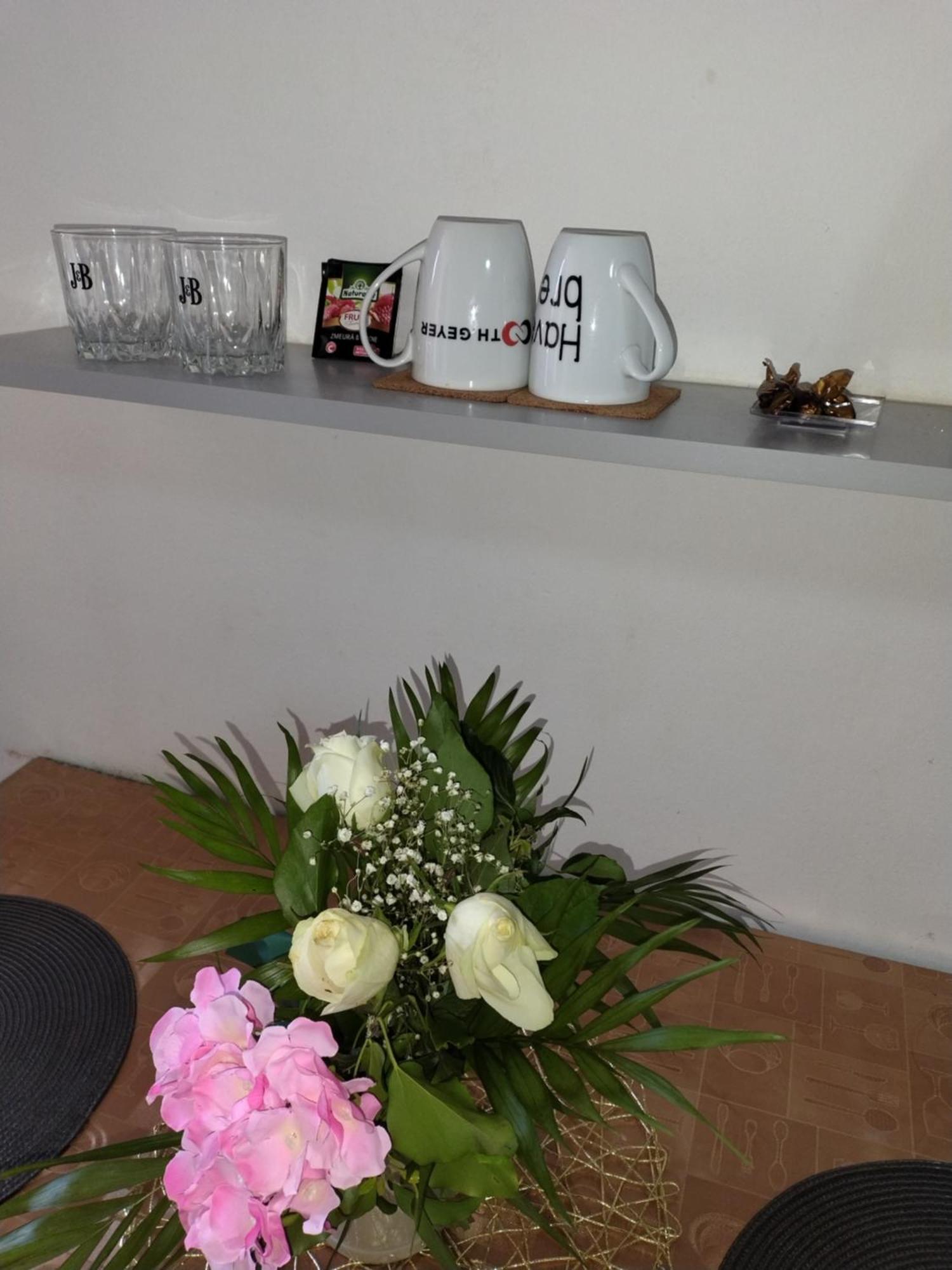 Regy Apartman Nagyvárad Kültér fotó
